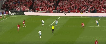 丹葡23.gif