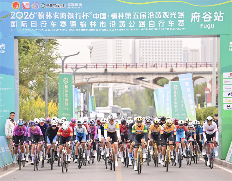 888贵宾会案例展示
